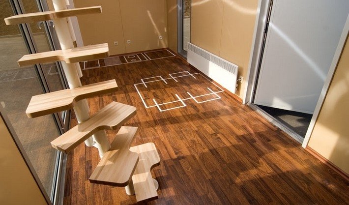 2+ Weekend House Shipping Container Home