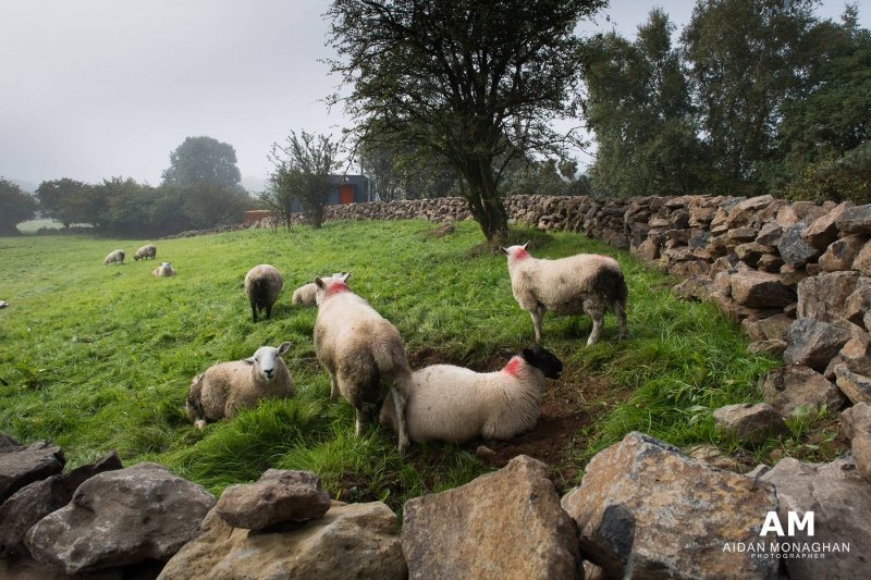 Grillagh Water Shipping Container House, Northern Ireland